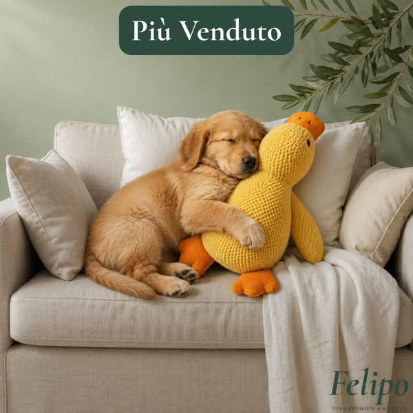 Anatra — Peluche Anti-Stress per Cani