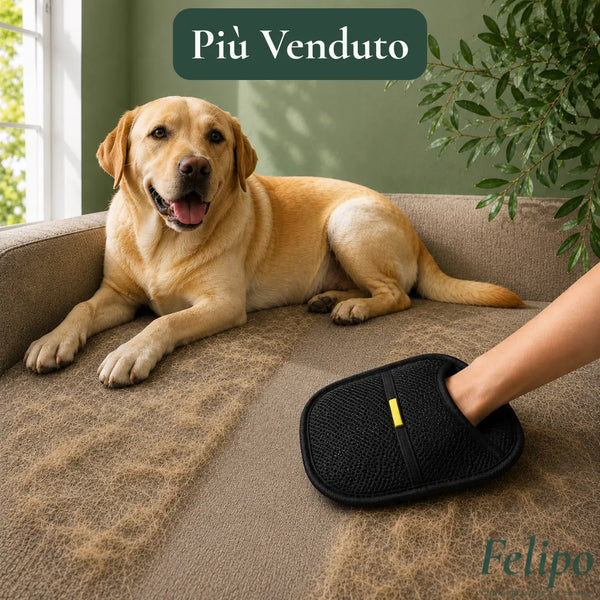 Magnete - Guanto magnetico per cani e gatti
