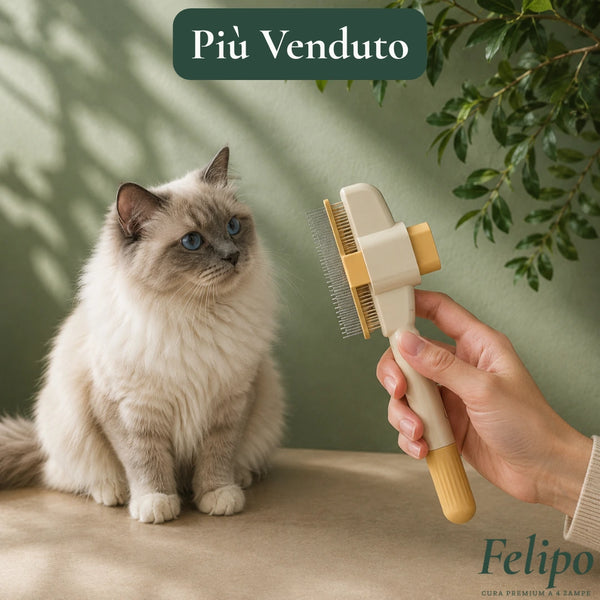Micio — Spazzola Premium Auto-Pulente per Gatti