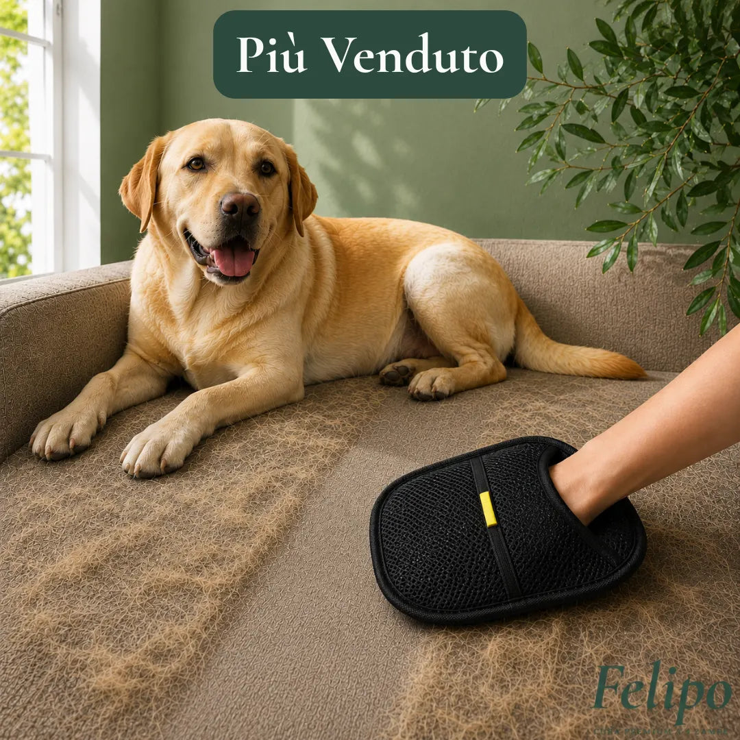 Magnete - Guanto magnetico per cani e gatti