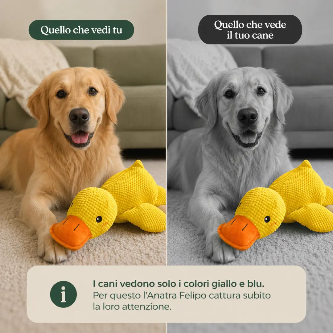 Anatra — Peluche Anti-Stress per Cani