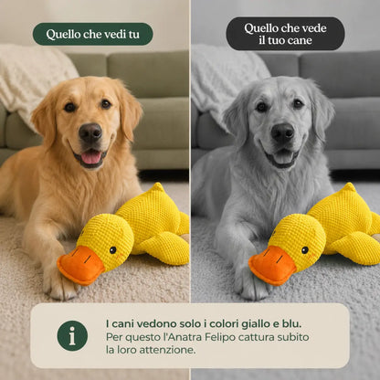 Anatra — Peluche Anti-Stress per Cani