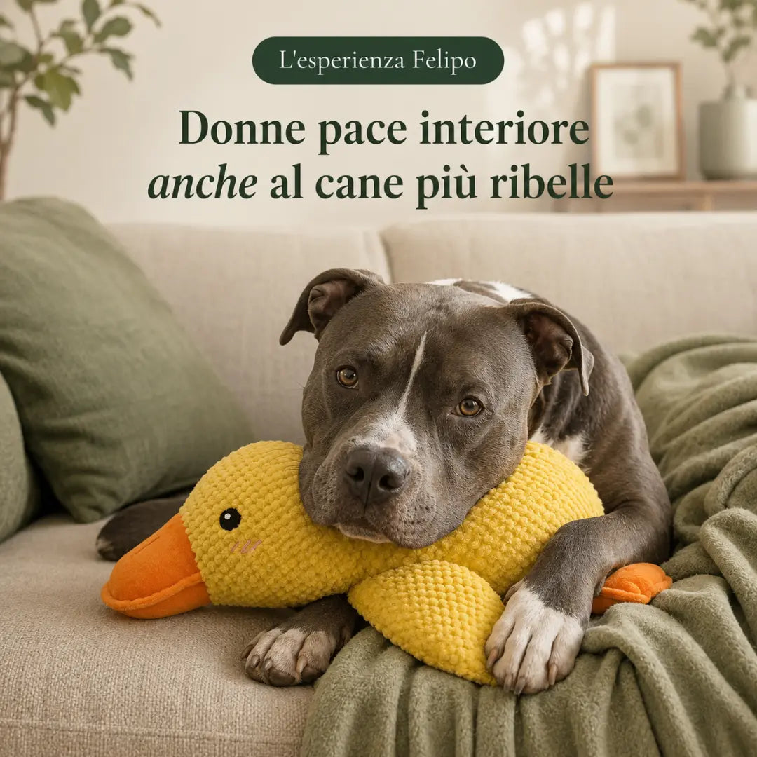 Anatra — Peluche Anti-Stress per Cani