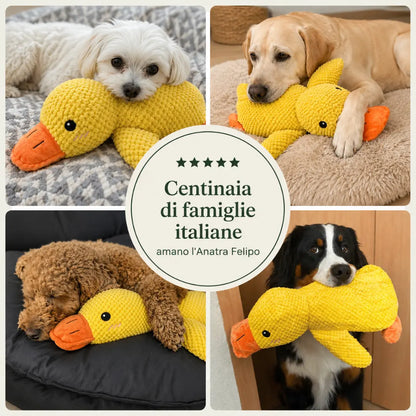 Anatra — Peluche Anti-Stress per Cani