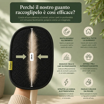 Magnete - Guanto magnetico per cani e gatti