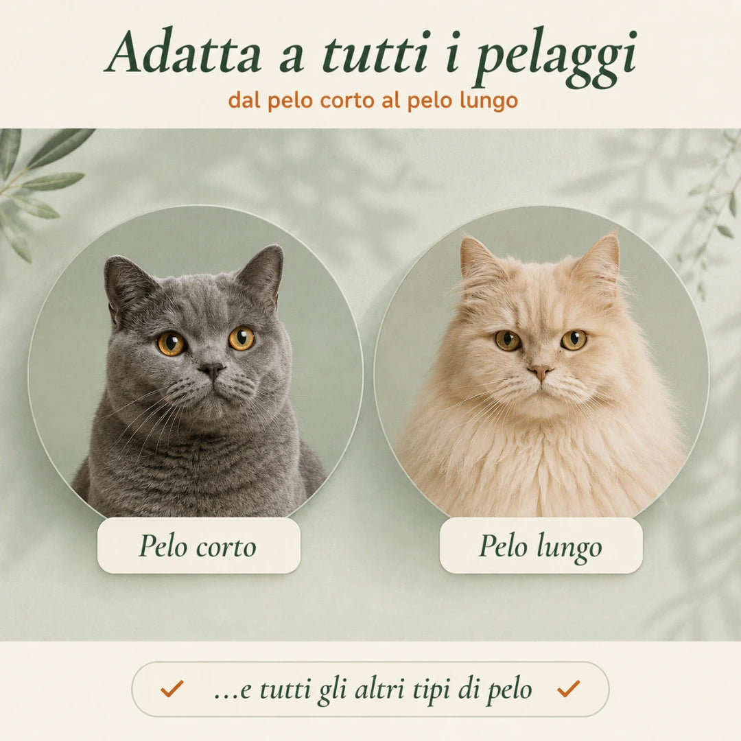 Micio — Spazzola Premium Auto-Pulente per Gatti