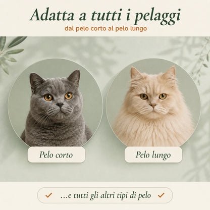 Micio — Spazzola Premium Auto-Pulente per Gatti