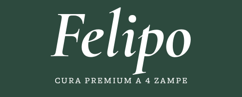 FELIPO